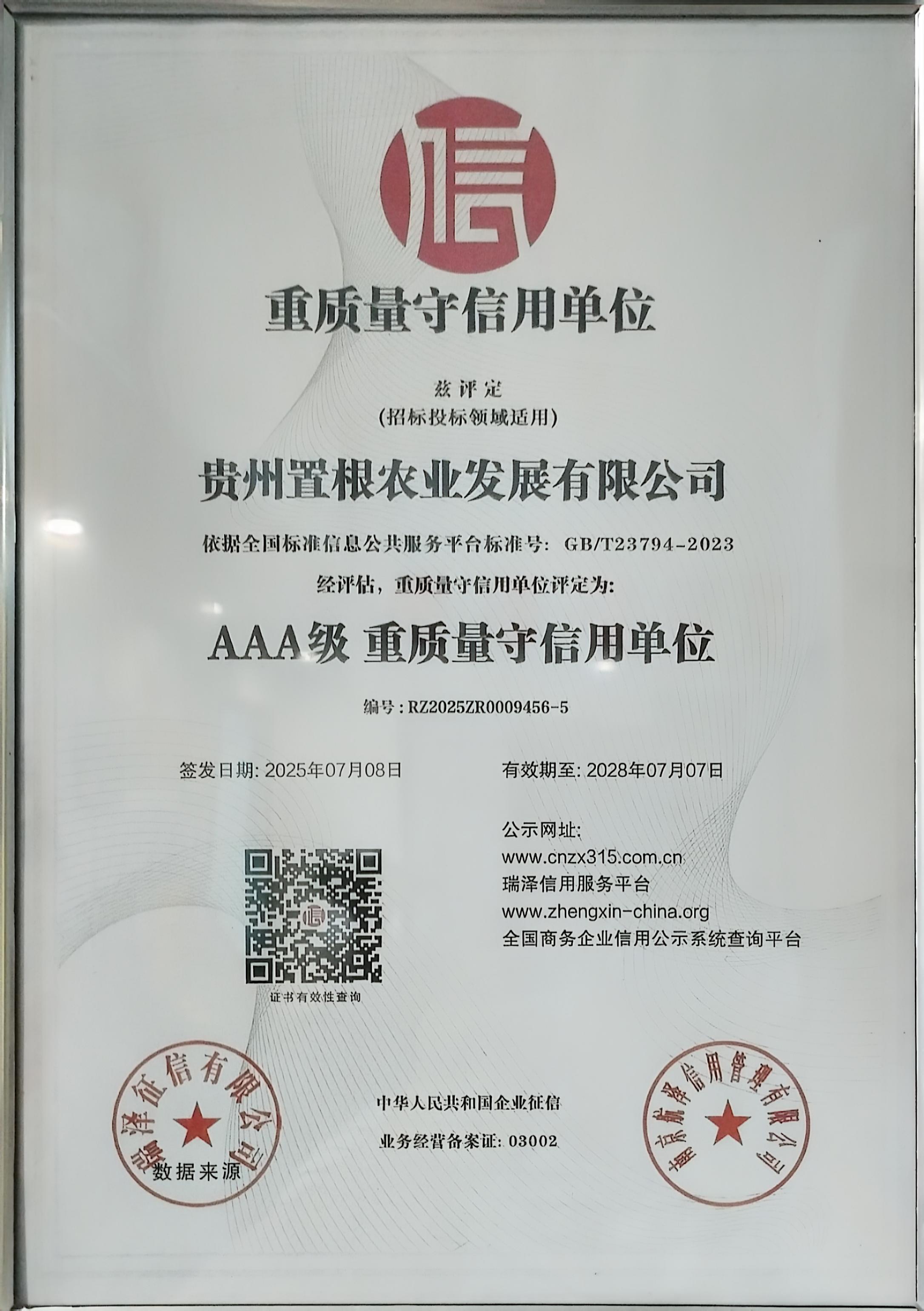 证书19