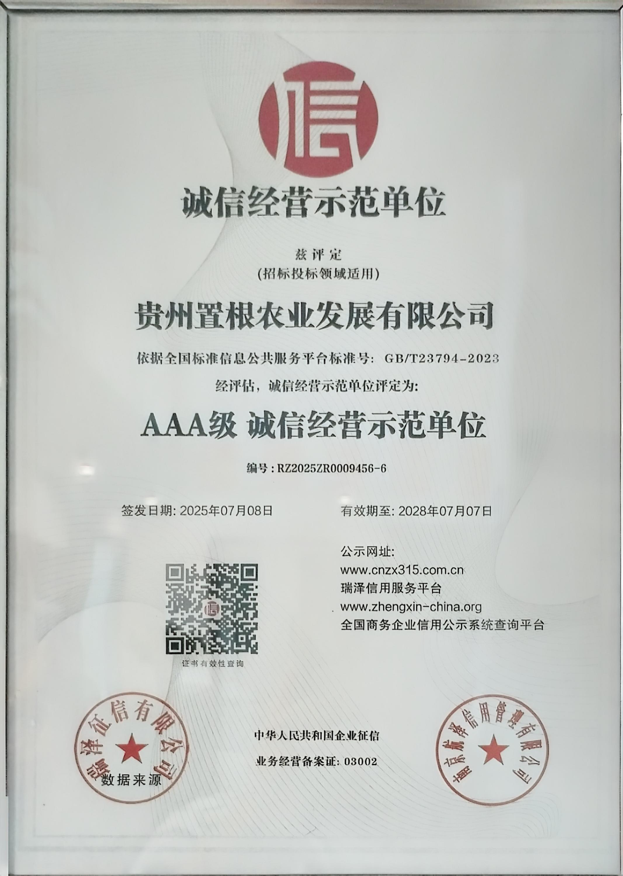 证书11